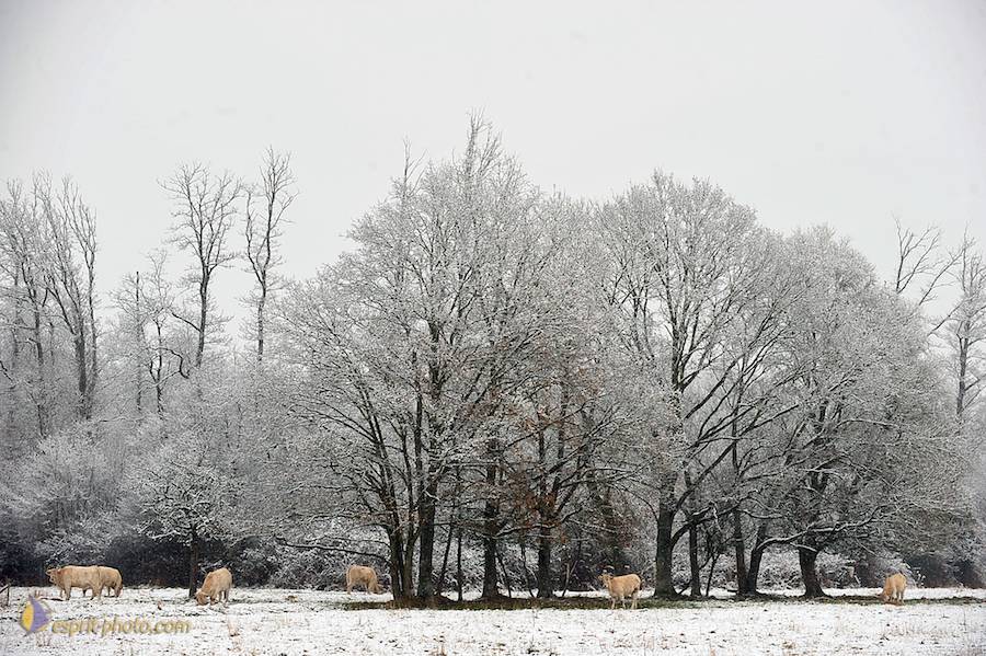 Nom de l'image : D30038024_1_(c)Norbert-JUNG — Description :